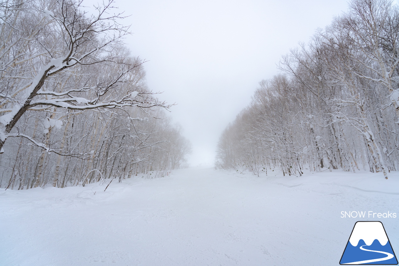 名寄ピヤシリスキー場｜名寄市のキャッチフレーズは『雪質日本一』。暖気の日こそ、その実力を発揮します！